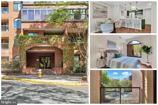 1029 N Stuart St Unit 209, Arlington, VA 22201