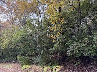 1332 Oakleigh Hill, Nashville, TN 37215