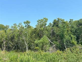 Lot 25 2nd St, Texas City, TX 77590