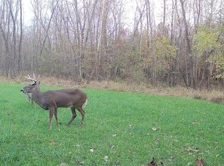 2 S Iron Mountain Rd, Bloomfield, IN 47424