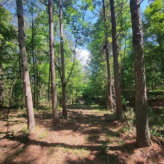 0 Split Rail Way Unit 1396389, Guild, TN 37340