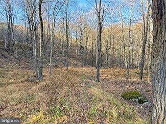 LOT 38 Monongahela Ln, Maysville, WV 26260