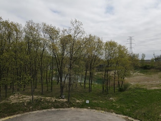 31 Davidano Ct, Crown Point, IN 46307