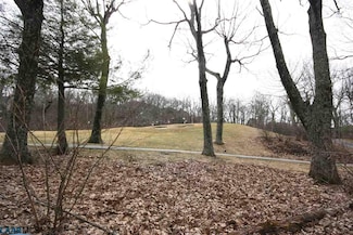 355 Devils Knob Loop, Roseland, VA 22967