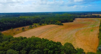 0 County Road 33 Unit 202317, Headland, AL 36345