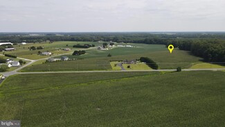 17.082 ac., Tract 4 Shortly & Paradise Rd, Georgetown, DE 19947