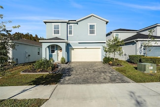 33893 Floating Heart Ct, Wesley Chapel, FL 33545