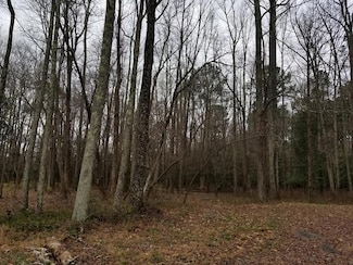 40 Green Ash Ct, Roanoke Rapids, NC 27870