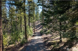 6761 Forest Ridge Dr, Wenatchee, WA 98801