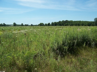 Lot B Masters Rd, Memphis, MI 48041