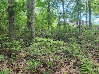000 Dixie Ln, Holladay, TN 38341