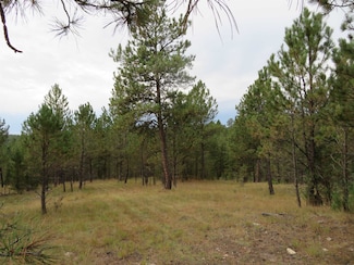 TBD Lot 34B Hombre Trail Unit TBD Lot 34B, Crazy Horse, SD 57730