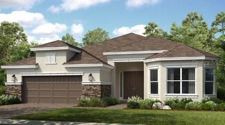 29924 Rusco Ct, Wesley Chapel, FL 33543