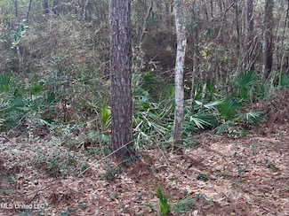 6461 Simmons Dr, Long Beach, MS 39560