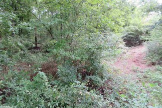 000 Deadman Creek Rd, Belleville, AR 72824