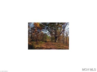 0 Cunningham Rd Unit M238723, Pennsboro, WV 26415
