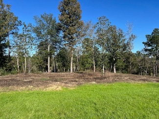 TBD LOT 26 Addison Rd, Livingston, TX 77351