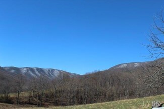 2689 Hunting Creek Rd, Big Island, VA 24526