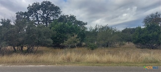118 Frank Jones, Blanco, TX 78606