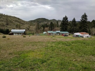 229 Huckleberry Mt Ln, Riddle, OR 97469