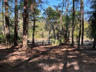 V/L 37 River Marsh Blvd, Waverly, GA 31565