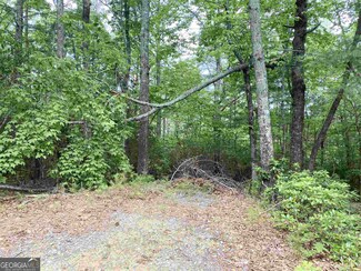 0 Vogel Vista Unit 20 & 21 10500345, Blairsville, GA 30512