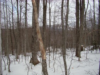 1 Rogue's Ridge Rd, Winhall, VT 05340