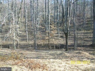 2142 Frogtown Rd, Bluemont, VA 20135
