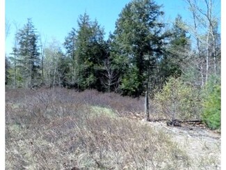 Lot 15-9 Ridge Rd, Alton, NH 03809