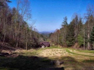 966 Johns Creek Rd, Del Rio, TN 37727