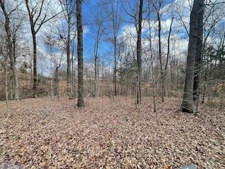 0 State Highway 48, Cumberland Furnace, TN 37051