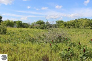 Parcel #4 Keystone Rd, Whittemore, MI 48770