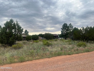 2222 Sitgreaves Dr Unit 270, Heber-Overgaard, AZ 85933