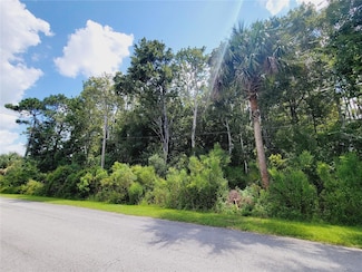 923 N Amelia Earhart Point, Crystal River, FL 34429