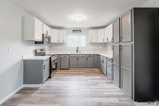 47299 Amite River Rd, Saint Amant, LA 70774