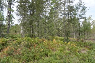 ON Zachs Ln Unit Lot 2, Conover, WI 54519