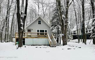 241 Trout Creek Dr, Pocono Lake, PA 18347