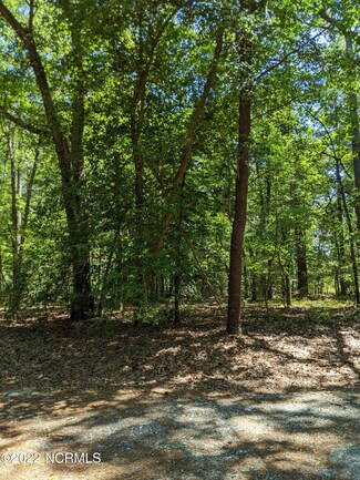 Lot 108 Queen Ann, Carthage, NC 28327