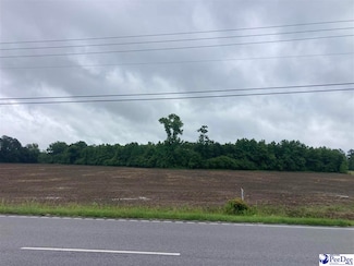 0 U S 301, Dillon, SC 29536