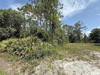 174 Millican Rd, Palatka, FL 32177