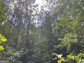 TRACT 4 Sheppard Rd, Franklin, GA 30217