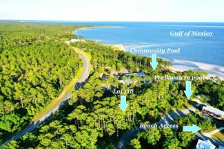 3487 Firefly Cir Unit Lot 118 - West, Saint Teresa, FL 32358
