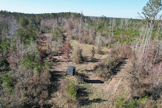0 Sandtown Rd Unit LotWP001 22046519, Washington, GA 30673