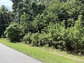 Lots 58 & 60 E 9th St, Hermann, MO 65041