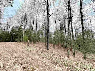 10 Acres Wisconsin 55, Pearson, WI 54462
