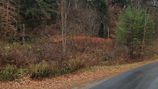 341 Seavers Brook Rd, Springfield, VT 05156