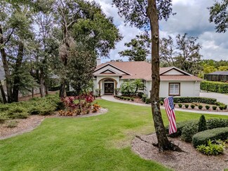 6012 Hammock Hill Ave, Lithia, FL 33547