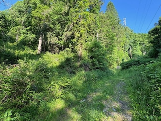 000 Virginia Ave, Mount Hope, WV 25880