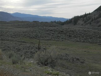 1111 TBD Blue Lake Rd, Oroville, WA 98844