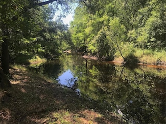 0 Park Dr, Ridge Manor, FL 33523